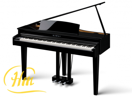 KAWAI DG30