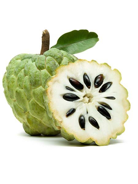 Custard Apple