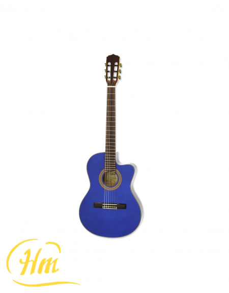 ARIA A-48CE