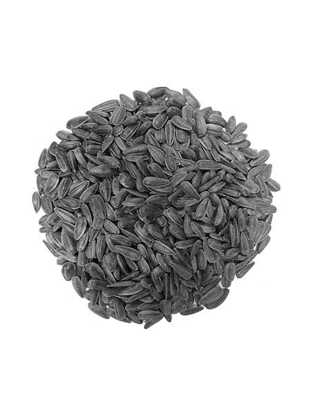 sunflower oil seeds