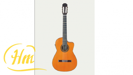 ARIA AC-25