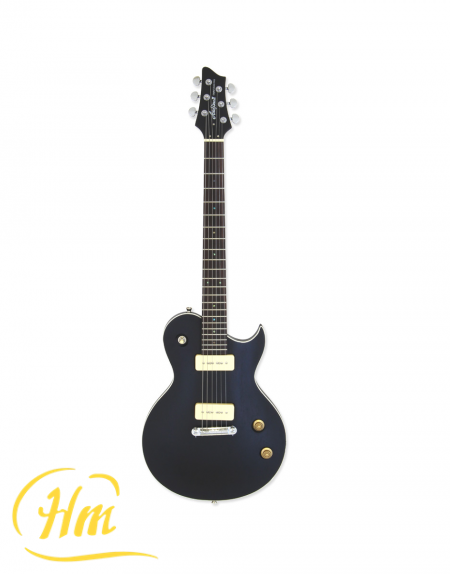 ARIA PE-TR2