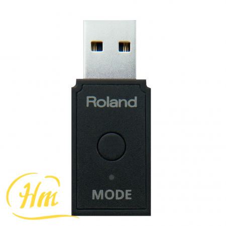 ROLAND WM-1D