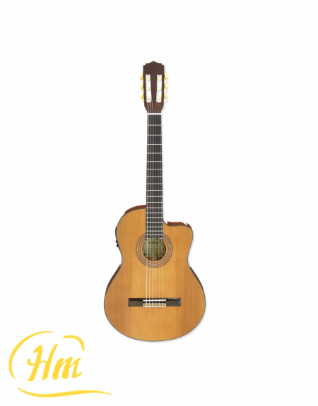 ARIA A-35CE