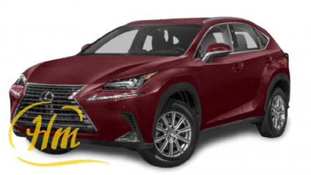 LEXUS NX 300