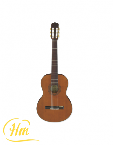 ARIA A-20