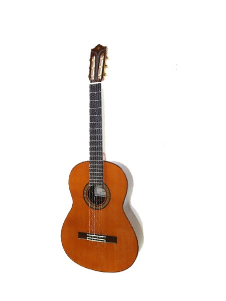 Yamaha GC30A
