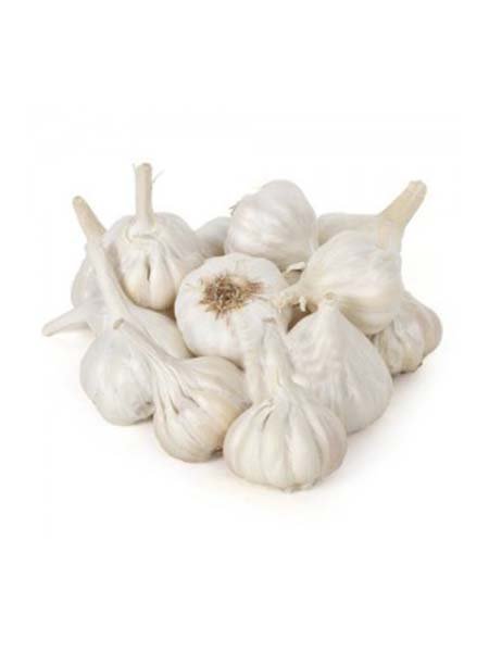 Myanmar Garlic