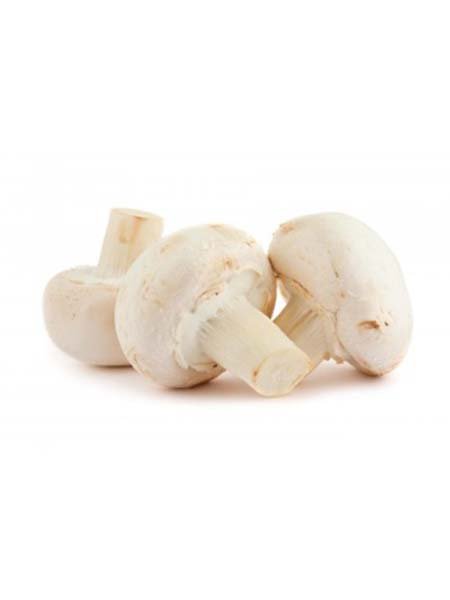 Mushroom - Button