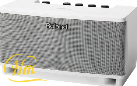 ROLAND CUBE Lite MONITOR