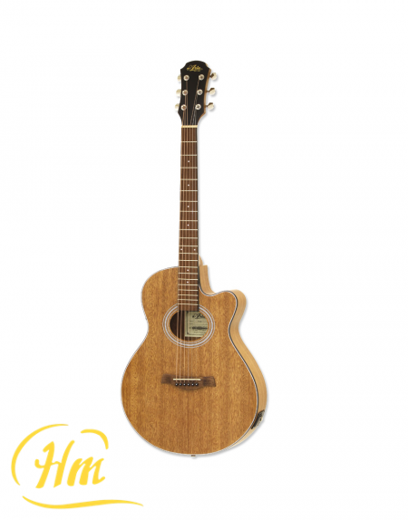 ARIA FET-M1