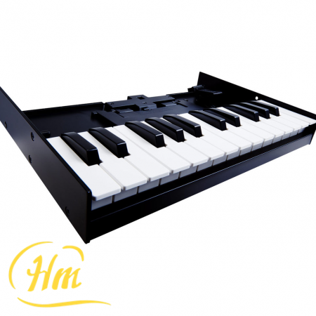ROLAND K-25m