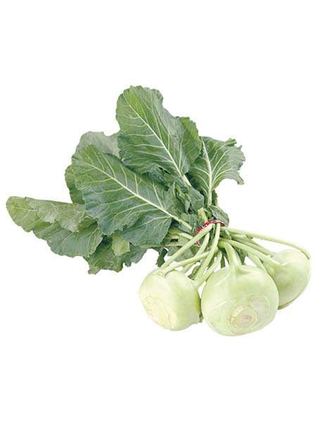 Green kohlrabi