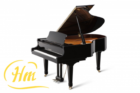 KAWAI GX-3