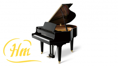 KAWAI GL-10