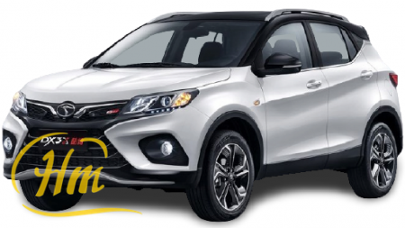 Soueast Dx3X White Roof Black