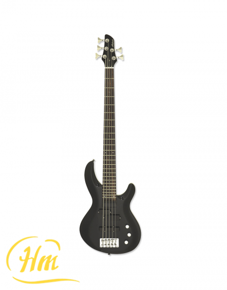 ARIA IGB-STD/5