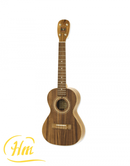 ARIA ALH-KT -Tenor-