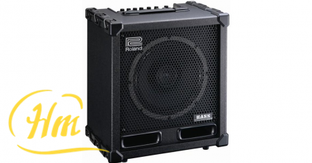 ROLAND CUBE-120XL BASS