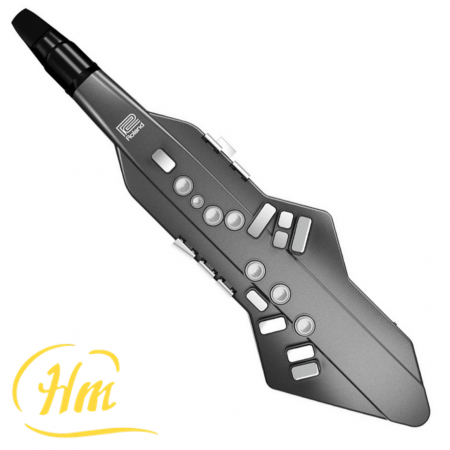 ROLAND AEROPHONE GO