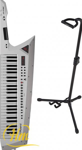 ROLAND ST-AX2