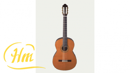 ARIA JF-200