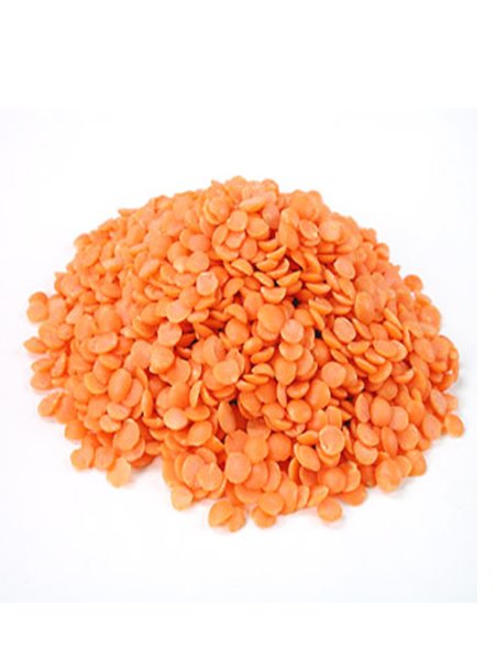 Lentils bean