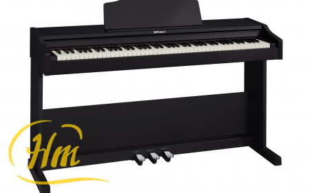ROLAND RP102