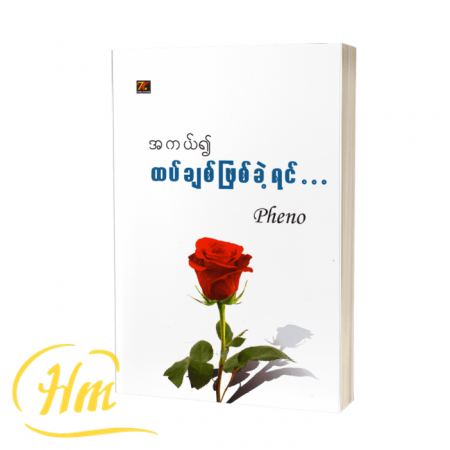 အကယ်၍ထပ်ချစ်ဖြစ်ခဲ့ရင်…