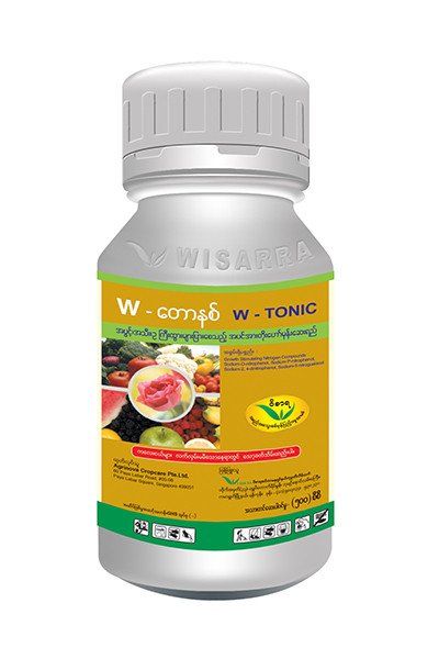 W-TONIC