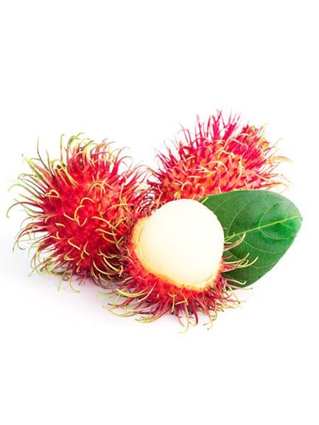 Rambutan