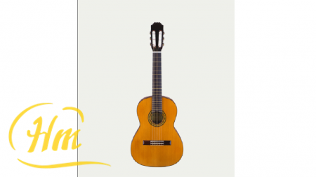 ARIA PS-53