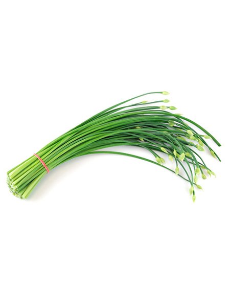 Garlic Chives