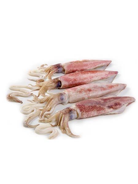 frozen Whole squid