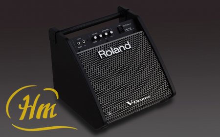 ROLAND PM-100