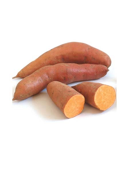 Gold Sweet Potato