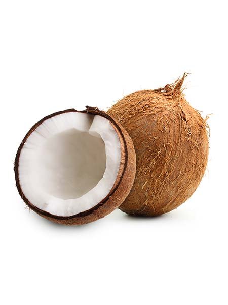Coconut Seed
