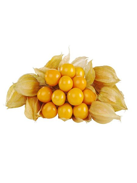Ashwagandha Fruits