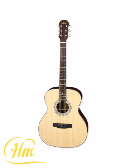 ARIA-205