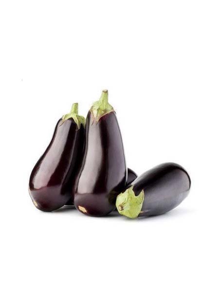 Oval Eggplant