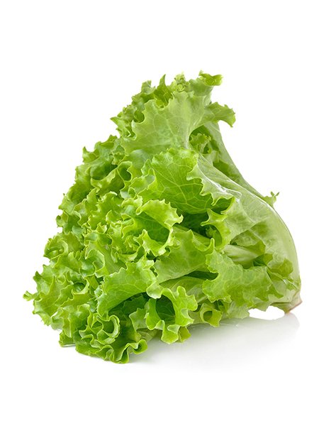 Lettuce
