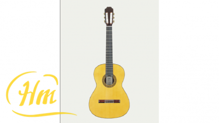 ARIA AC-200