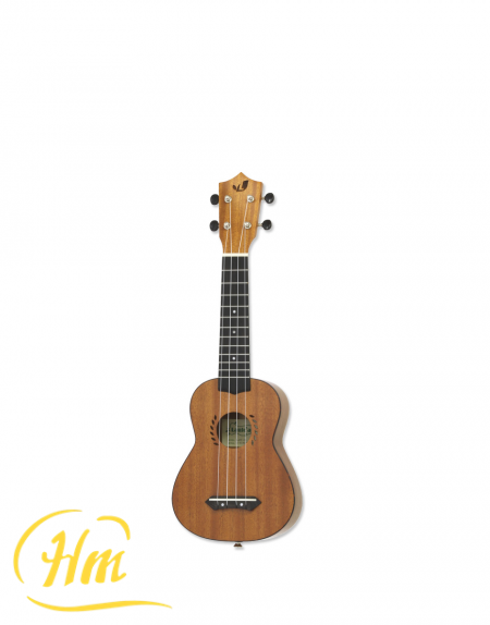 ARIA LAM-2S