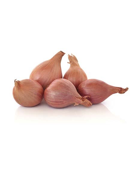 brown shallot
