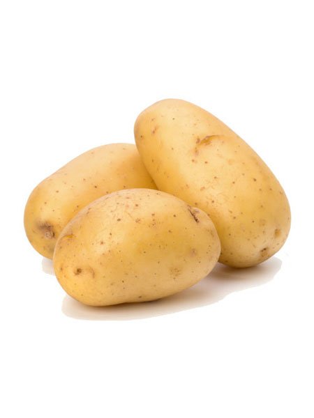 Potato (large-Medium size)