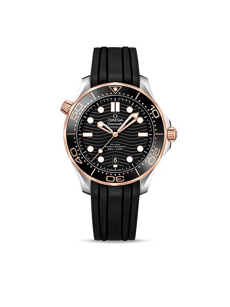 OMEGA 210 22 42 20 01 002
