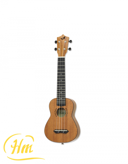 ARIA LAM-2SL