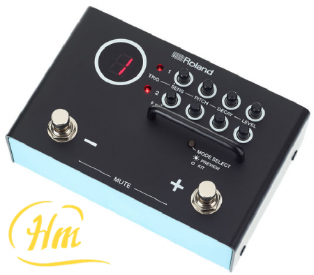 ROLAND TM-1