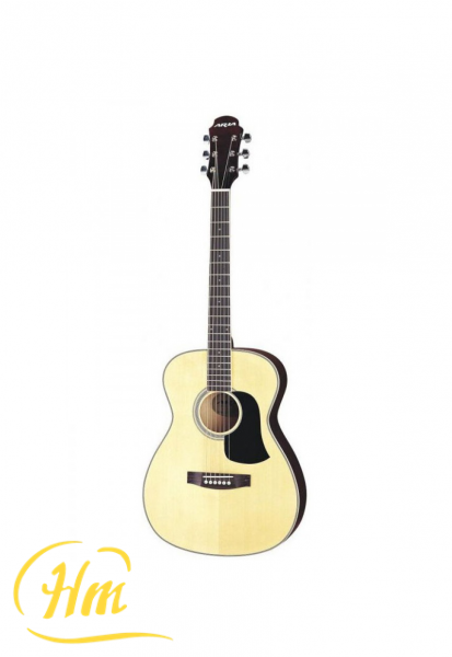 ARIA AFN-15