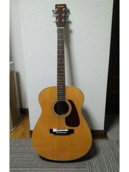 Morris MF-251N
